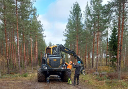 Metsäauto metsätiellä