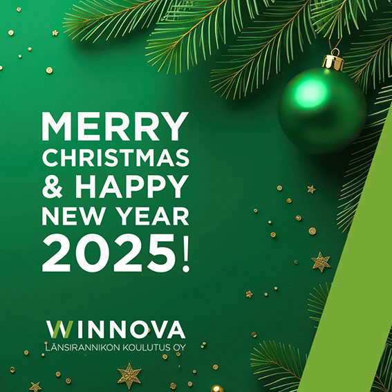 Merry Christmas and happy new year 2025!